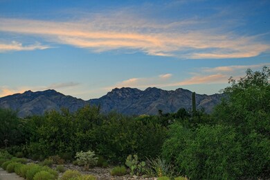 View of Catalinas from the courtyard