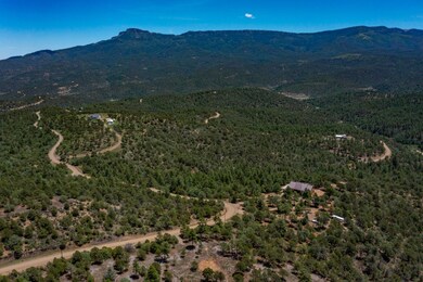 33151 Elk Park Rd, Trinidad, CO 81082 - photo 7