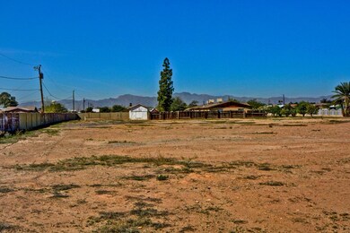 Ocotillo (6)