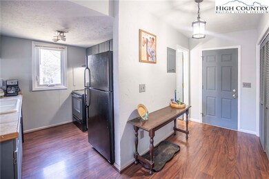 114 S Slope Cir unit 3, Banner Elk, NC 28604 - photo 2