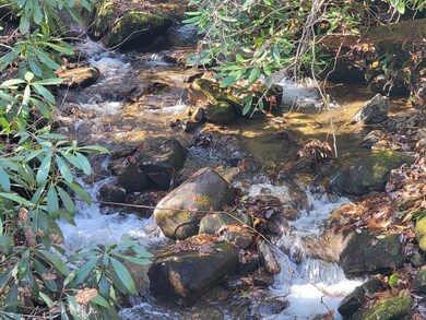 6736 Wayah Rd, Franklin, NC 28734 - photo 5