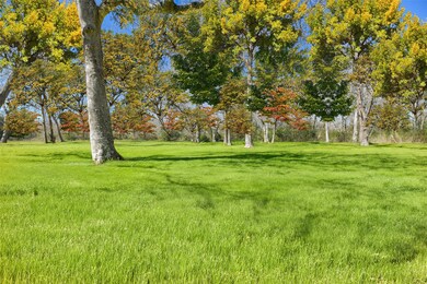 9015 Quail Ridge Dr, Manvel, TX 77578 - photo 2