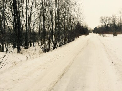 0 Aplona Ln, Sawyer, MI 49125 - photo 4