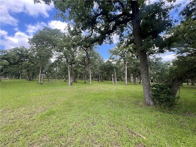 Lot 570 Deer Ledge Dr, Beaver Creek, TX 77836 - photo 2
