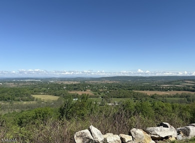 4 Vista Ln, Bloomsbury, NJ 08804 - photo 2