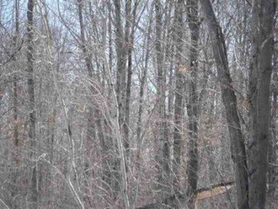 - State Highway 86, Tomahawk, WI 54487 - photo 2