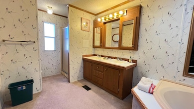 7800 Maple Hill Rd unit b11, Hamel, MN 55340 - photo 4