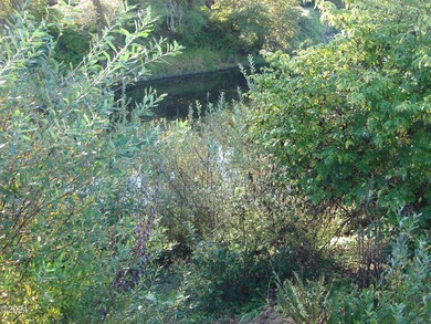 DSC00909