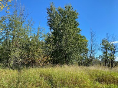 3 acres 7th St, Weyerhaeuser, WI 54895 - photo 4