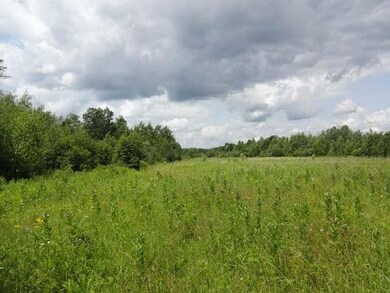 NEAR Hwy 86, Tomahawk, WI 54487 - photo 6