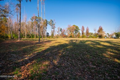 2117 Castle Hayne Rd, Wilmington, NC 28401 - photo 7