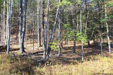 18 Dug Rd, Accord, NY 12404 - photo 4