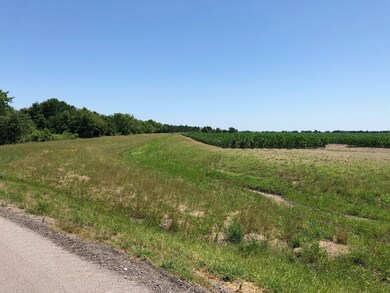 0 Spur 10 Rd unit 18281020, Rosenberg, TX 77471 - photo 7