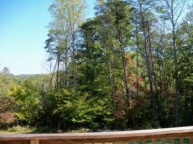 Private Backyard