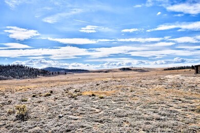 631 Murphy Rd, Como, CO 80432 - photo 2