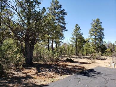 4180 Sugar Pine Loop
