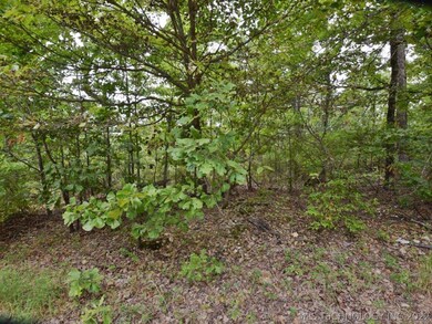 6355 N Big Feather Ridge Rd, Proctor, OK 74457 - photo 2