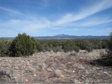 3566 W Ranch Rd, Ash Fork, AZ 86320 - photo 4