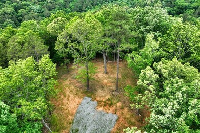 0 Georgia 136, Talking Rock, GA 30175 - photo 6