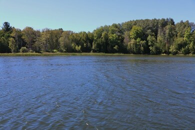 Black river 3