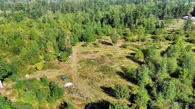 31208 Lebor Devore Rd E, Eatonville, WA 98328 - photo 6