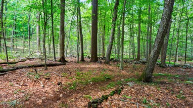 0 June Rd Stamford CT 06903-large-012-01