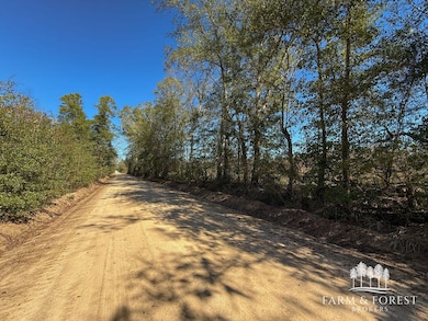 xx1 Seay Rd, Cottondale, FL 32431 - photo 2