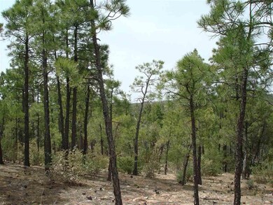 1161 E Pine Oaks, Show Low, AZ 85901 - photo 3