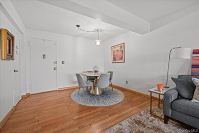 The Granada unit 4K, Bronx, NY 10463 - photo 7