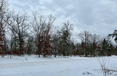 11335 S Broadway St, Bitely, MI 49309 - photo 6