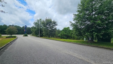 Lot 4 U S 231, Ozark, AL 36360 - photo 2