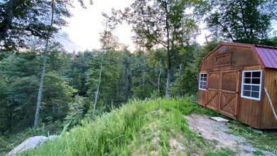 000 Us Highway 421, Purlear, NC 28665 - photo 5