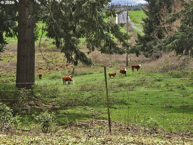 15540 SE 362nd Ave, Boring, OR 97009 - photo 5