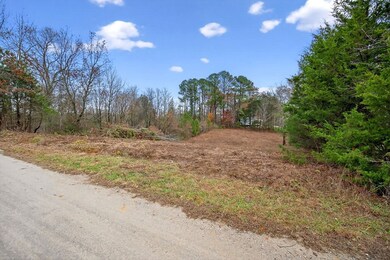 0 Center Point Acres N unit RTC3050083, Walling, TN 38587 - photo 5