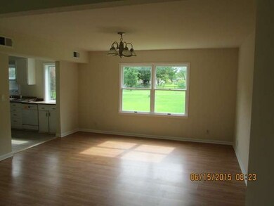 10101 Meadow Ln, Des Plaines, IL 60016 - photo 5