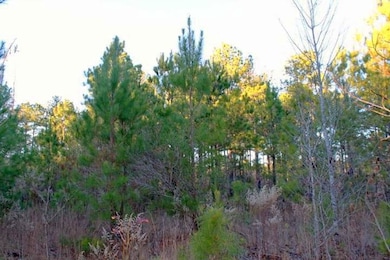 Tbd O G Reynolds Rd, Ellerbe, NC 28338 - photo 6