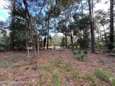 9974 N Ferncliff Point, Crystal River, FL 34428 - photo 3