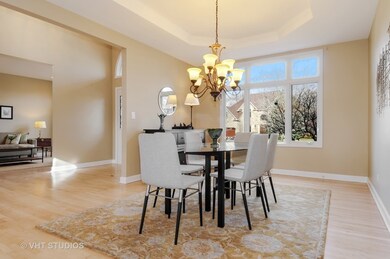 4259 Colton Cir, Naperville, IL 60564 - photo 6