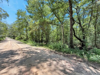 1056 Hempstead Church Rd, Pavo, GA 31778 - photo 4