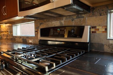 Gas Grill