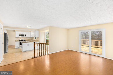 2816 Schubert Dr, Silver Spring, MD 20904 - photo 3