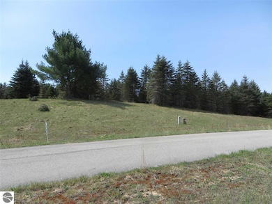 1 Spruce Hollow Trace, Fife Lake, MI 49633 - photo 7