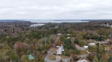 0 Walnut St, Chattahoochee, FL 32324 - photo 3