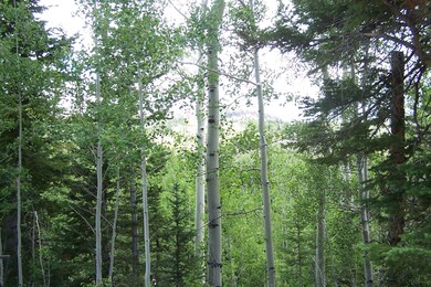 91 S Spring Cir unit SHC u-C b-F lot 19, Brian Head, UT 84719 - photo 2