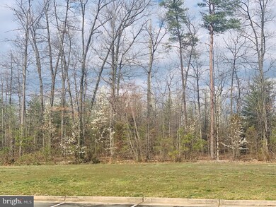 11235 Wortham Crest Cir unit 74, Manassas, VA 20109 - photo 4