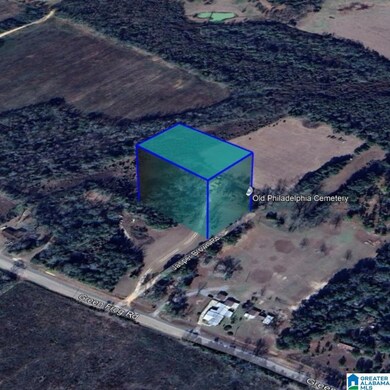 161 Main St, Gordon, AL 36343 - photo 3