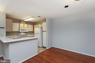 4401 Silverbrook Ln unit B301, Owings Mills, MD 21117 - photo 7