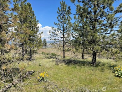 2 Hart Rd N, Davenport, WA 99122 - photo 4