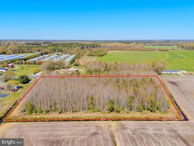 0 E Trap Pond Rd unit DESU2083648, Georgetown, DE 19947 - photo 4