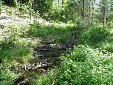 Seasonal stream